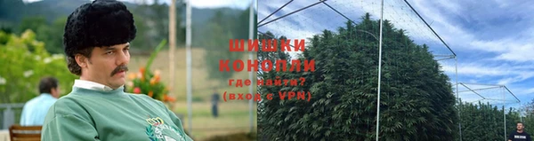 молекула духа Баксан