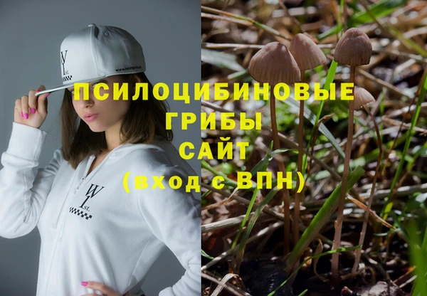 молекула духа Баксан