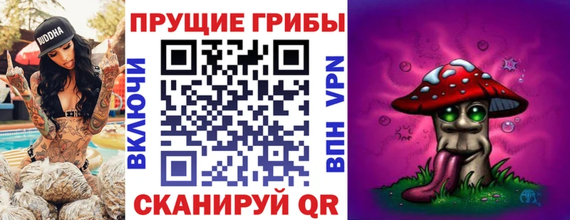 Галлюциногенные грибы Psilocybine cubensis Унеча
